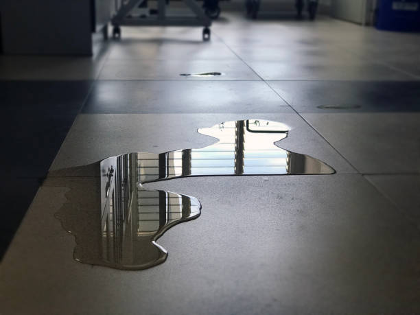 Best 24/7 water damage repair  in Sylvania, OH