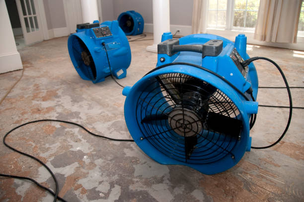 Best Water damage restoration near me  in Sylvania, OH