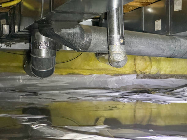 Best Water damage repair service  in Sylvania, OH