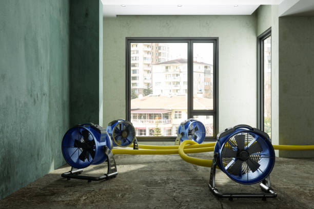 Best Ceiling water damage repair  in Sylvania, OH